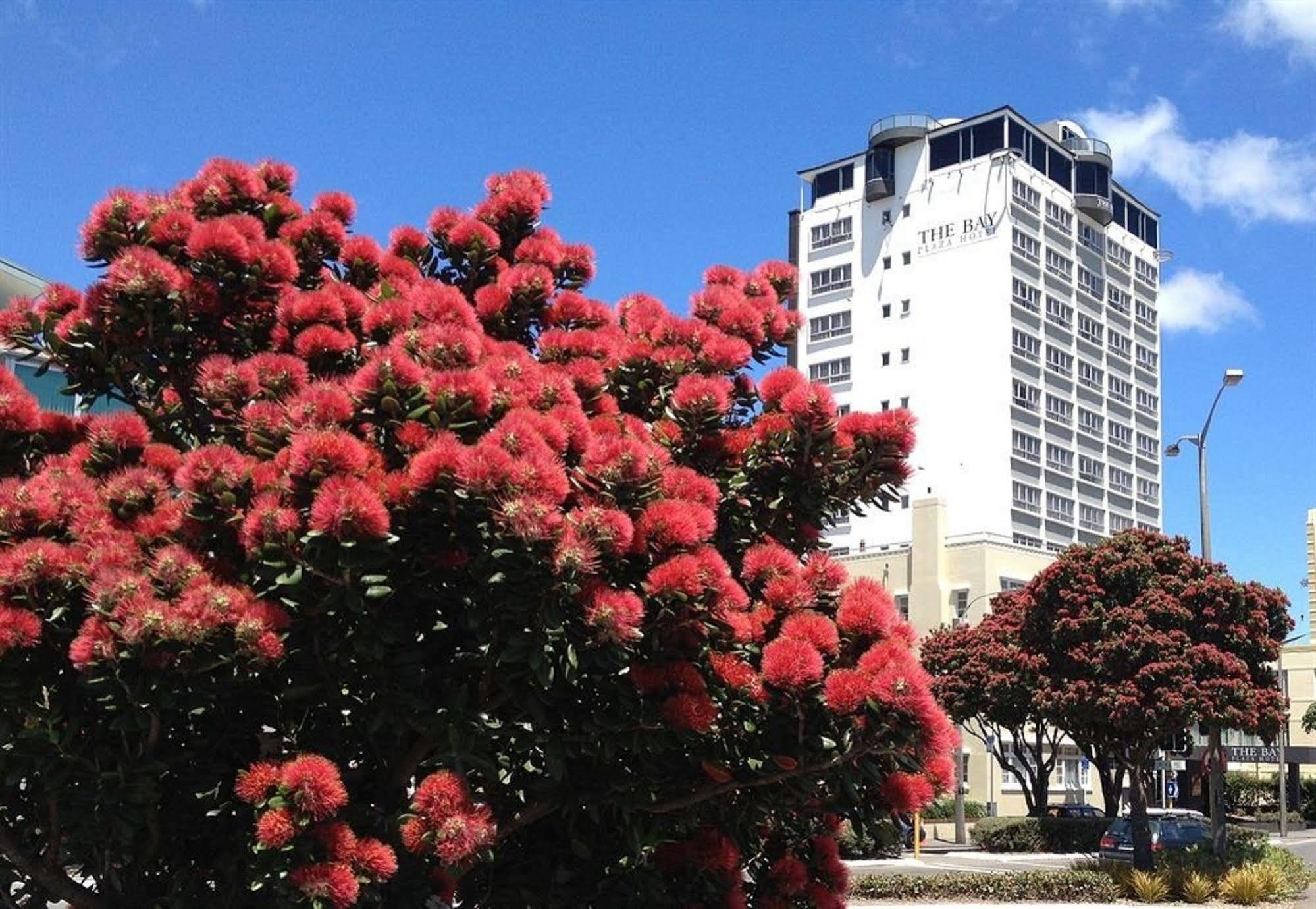 Bay Plaza Hotel Ουέλλινγκτον Εξωτερικό φωτογραφία
